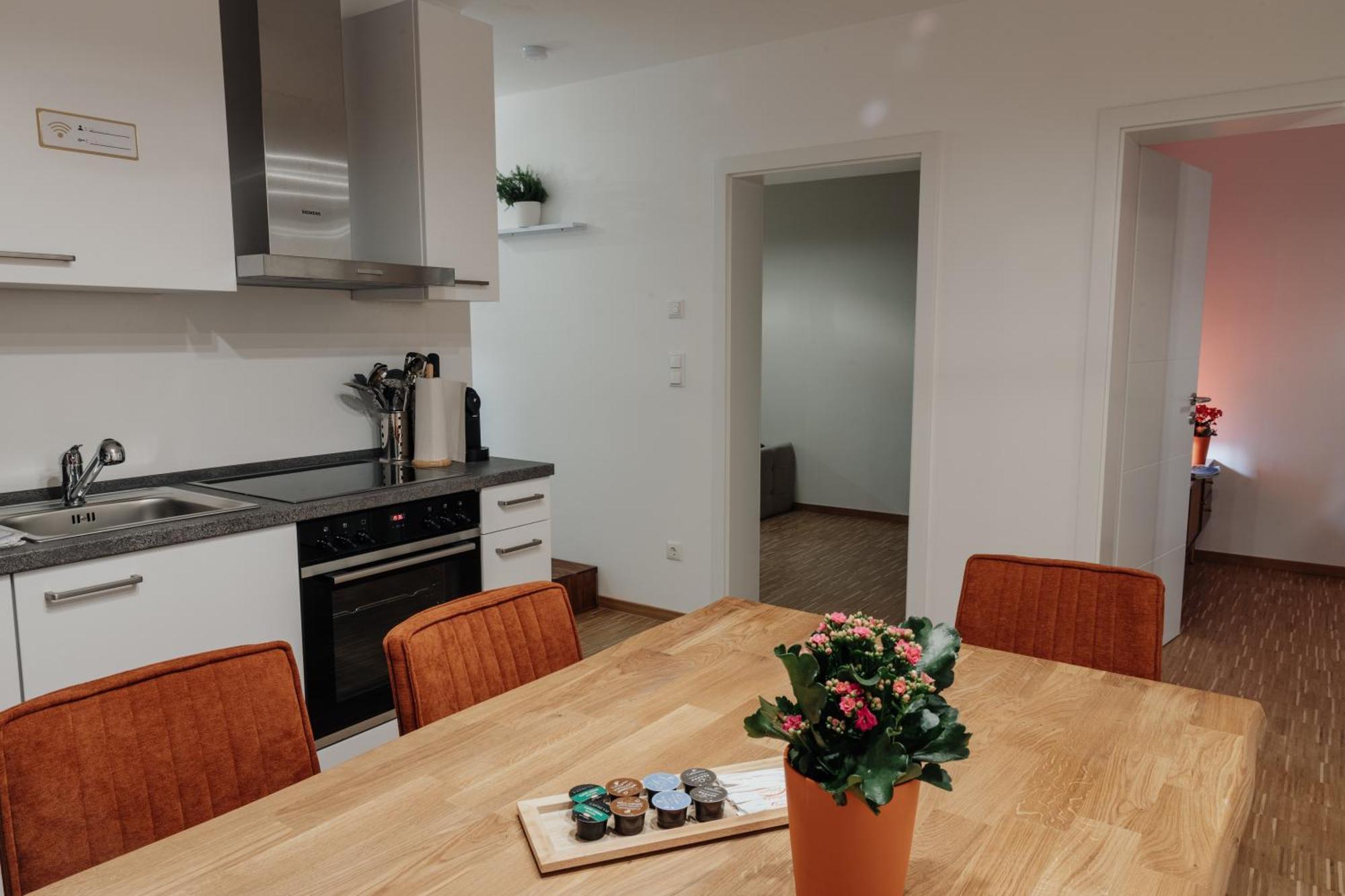Passaus Motto Appartements! Solo - Paerchen - Familien - Gruppen Rum bild