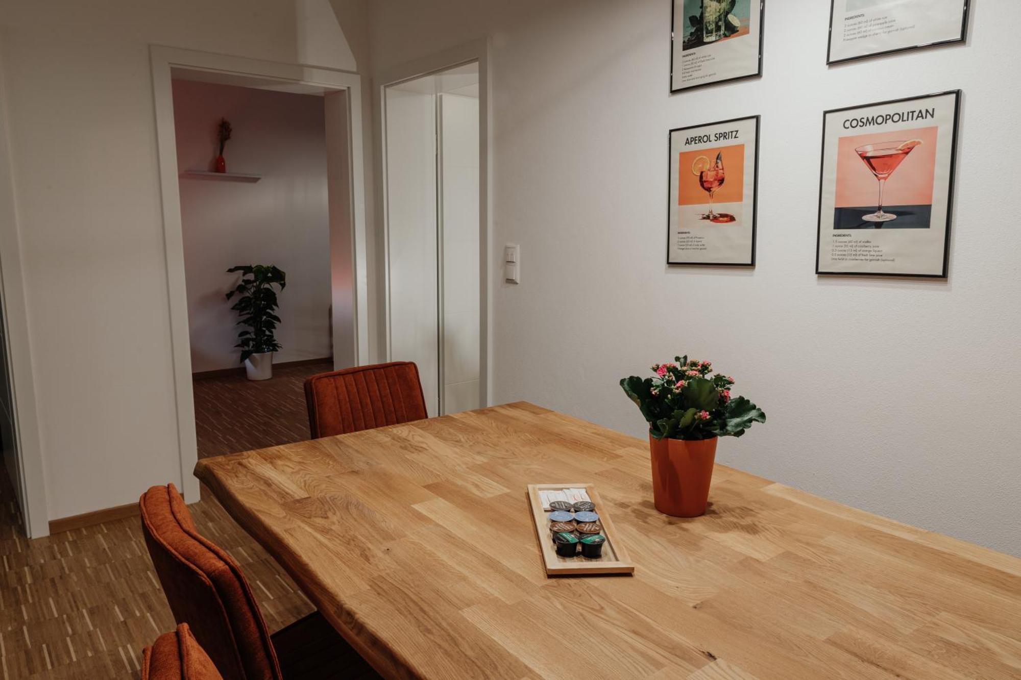 Passaus Motto Appartements! Solo - Paerchen - Familien - Gruppen Rum bild